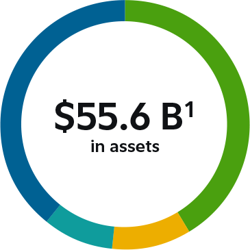 $55.6 billion in Canadian institutional assets