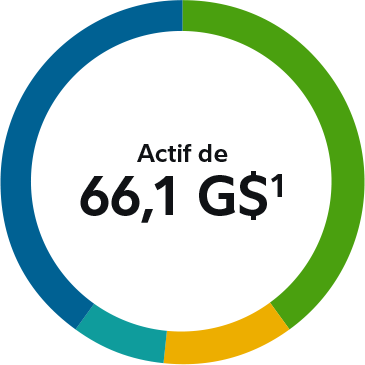 55,6 milliards de dollars d’actifs institutionnels canadiens